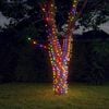 vidaXL Solar Fairy Light Set of 5 Multicolor Plastic Long string Solar