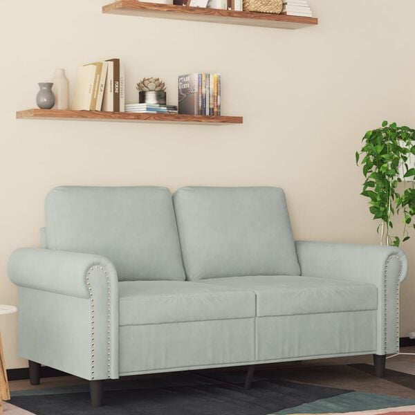 vidaXL 2-seater Sofa Light grey Velvet (100% polyester), metal, textilene
