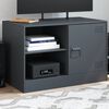 vidaXL TV Cabinet Anthracite Cold-rolled steel Medium TV Cabinet