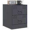 vidaXL Bedside Cabinet Set of 2 Anthracite Steel 13.6 x 15.4 x 17.3 in