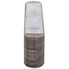 vidaXL Raised Bed Grey Poly Rattan, Zinc Medium Durable Raised Bed