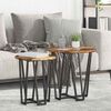 vidaXL Side Table Set 2 pcs Smoked Oak and Black