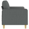 vidaXL 2-seater Sofa Dark gray Fabric (100% polyester), metal 2-seater