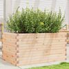 vidaXL Garden Planter Natural wood Solid pine wood Medium Garden Planter