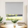 vidaXL Roller Blind Light Grey 100% Polyester 37.4 x 59.1 in