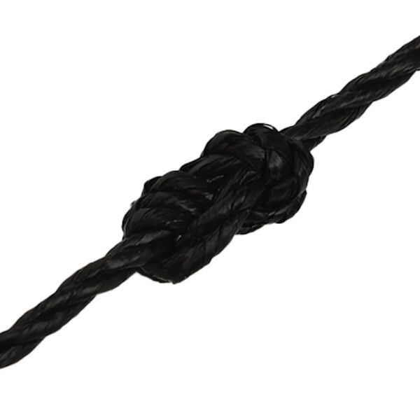 vidaXL Work Rope Black 0.12 " 164.0 ' Polypropylene