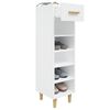 vidaXL Shoe Cabinet High gloss white Engineered wood Slim, Tall