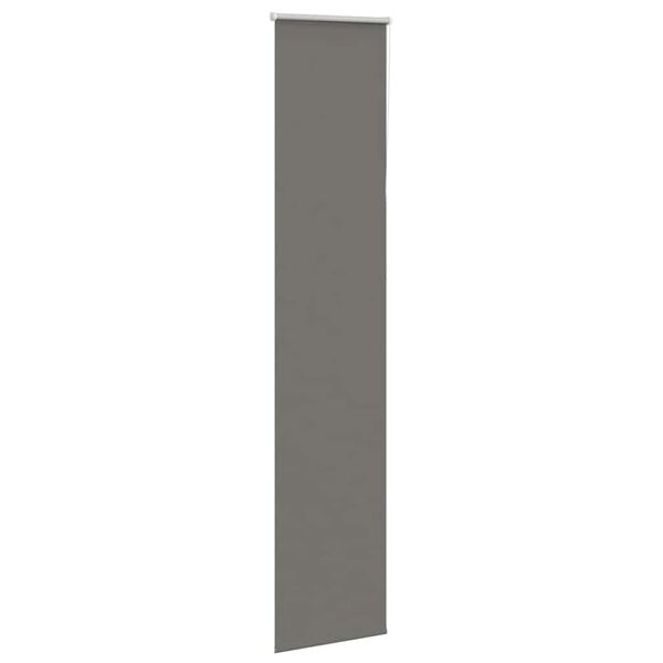 vidaXL Roller Blind Grey 100% polyester, aluminum 21.7 x 90.6 in