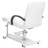vidaXL Salon Beauty Chair White and black Faux leather, iron Medium