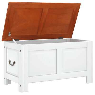 Open-lid view of white storage bench showing interior storage space.