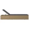 vidaXL Sunlounger Brown and Dark Grey PE rattan Standard Foldable