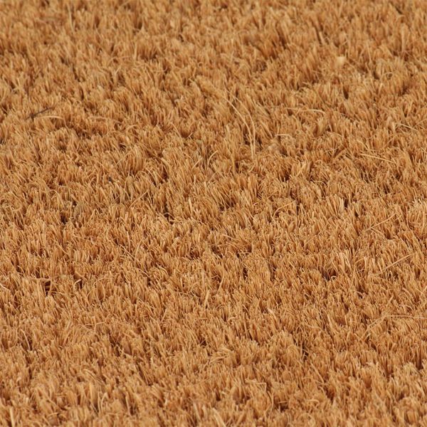 vidaXL Door Mat Natural Coir, PVC 39.4 x 118.1 in Foldable