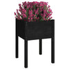 vidaXL Planter Black Solid pinewood Medium Durable Planter Square