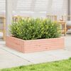 vidaXL Garden Planter Natural Wood Solid Douglas Fir Wood Large