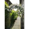 Nature Garden Arch Black Epoxy laminated galvanized steel Medium