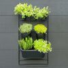 Nature Flower Pot Black Polypropylene with metal frame