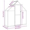 vidaXL Greenhouse Silver and Transparent