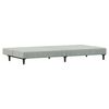 vidaXL Sofa Bed Light gray Velvet (100% polyester), wood, plastic 2-Seater