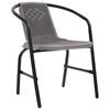 vidaXL Garden Chair Set of 2 Black Plastic Rattan, Steel Standard