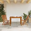 vidaXL Folding Garden Chair Set of 2 Wood grain Solid Acacia wood