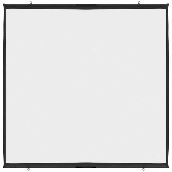 vidaXL Projection Screen Wall-Hanging 72 Inch 1:1