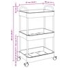 vidaXL Storage Trolley 3-Tier Transparent 14.6x11.0x26.8" Acrylic