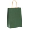 vidaXL Paper Bags 250 pcs with Handles Green 15x8x21 cm