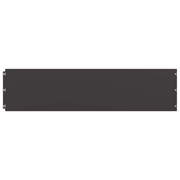 vidaXL Lawn Edgings 10 pcs Black 9.8x40.6" Cold-rolled Steel