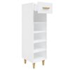 vidaXL Shoe Cabinet High gloss white Engineered wood Slim, Tall