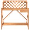 vidaXL Potting Bench Brown Solid fir wood Medium Shelving