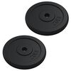 vidaXL Weight Plate 88.2 lb Cast Iron