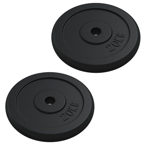 vidaXL Weight Plate 88.2 lb Cast Iron