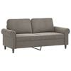 vidaXL 2-seater Sofa Light grey Velvet (100% polyester), metal, plywood