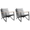 vidaXL Garden Chair Black, Light Gray