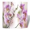 vidaXL Folding Room Divider 63"x66.9" Flower