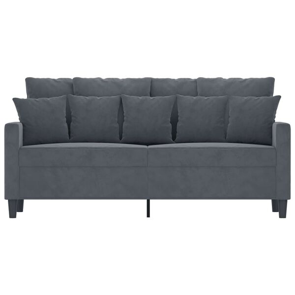 vidaXL 2-seater Sofa Dark Gray Velvet (100% polyester) Medium