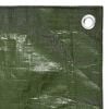 vidaXL Tarpaulin 0.6 oz/ft² 19.7'x32.8' Green HDPE