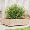 vidaXL Garden Planter Natural Wood Solid Pine Wood Medium Durable