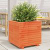 vidaXL Garden Planter Wax Brown Solid pinewood 19.7x19.7x19.5 in
