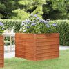 vidaXL Garden Raised Bed Rusty Corten Steel Large Garden Raised Bed