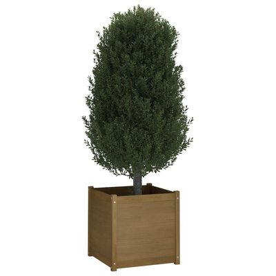vidaXL Garden Planters 2 pcs Honey Brown 23.6"x23.6"x23.6" Solid Wood Pine