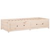 vidaXL Day Bed Natural Pine Solid Pine Wood Twin Day Bed Rectangular