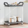 vidaXL 2-Tier Trolley Gray 31.9"x16.1"x36.2" Aluminum