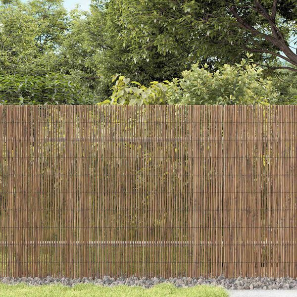 vidaXL Reed Fence Natural 118.11 x 62.99 in Reed