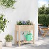 vidaXL Garden Planter Beige 27.95 x 14.57 x 30.12 in Solid Fir Wood
