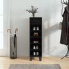 vidaXL Shoe Cabinet Black Engineered Wood, Iron Medium Shoe Cabinet