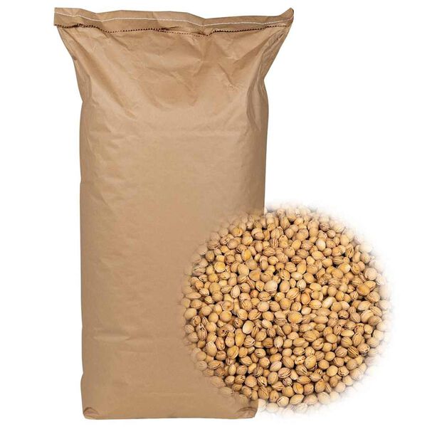 vidaXL Cherry Stones for Heat Cushion 55.1 lb