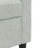 vidaXL 2-seater Sofa Light gray Velvet, Polyester, Metal, Plywood 2-seater