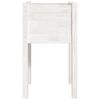 vidaXL Planter White Solid pinewood Durable Planter Square