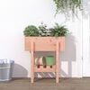 vidaXL Garden Planter Natural Wood Solid Douglas Fir wood Medium